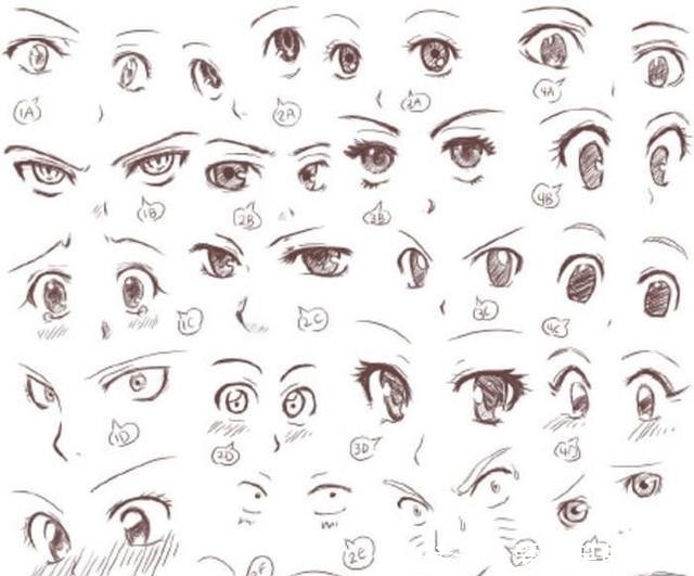 动漫人物头部怎么画简单,动漫头部各个角度画法