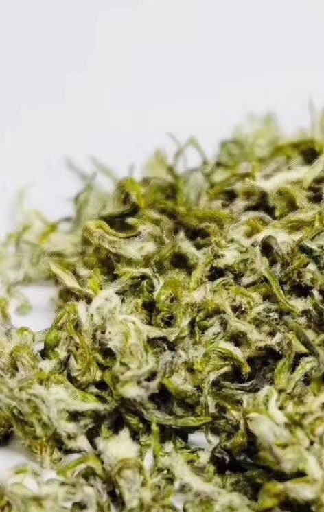 蒙山茶叶,蒙山茶文化发源地