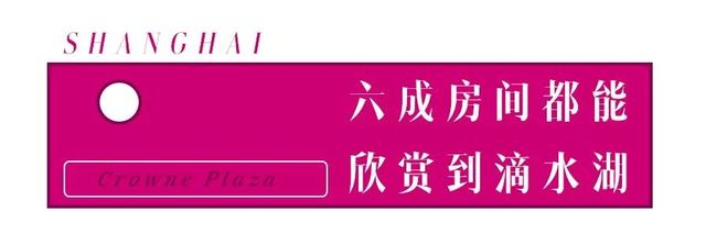 魔都一线江景酒店,魔都滴水湖酒店