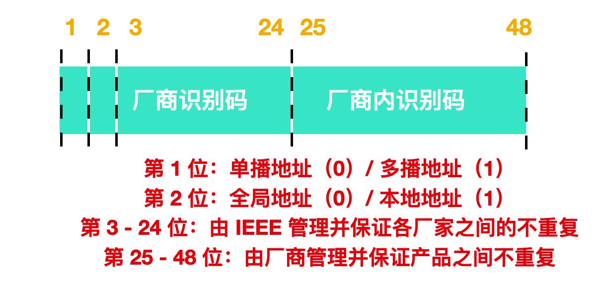 稳了字幕翻译,arp协议详解图解