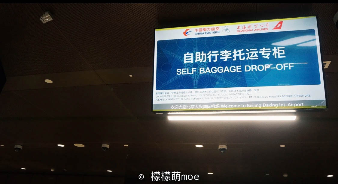 北京大兴机场真的是很豪华,北京大兴机场外形特点