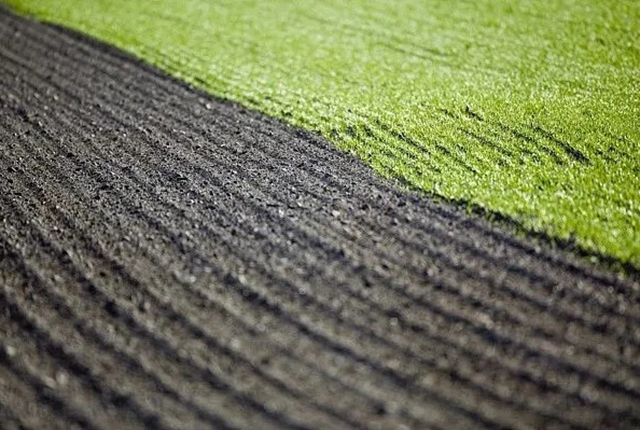 近年东北黑土地恢复现状如何,东北黑土地问题改善