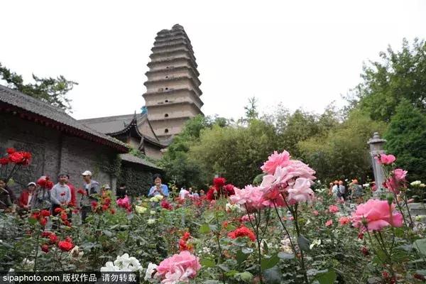 北京低价机票18元,北京低价机票99