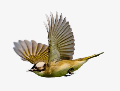 <html>
<head><title>502BadGateway</title></head>
<body>
<center><h1>502BadGateway</h1></center>
<hr><center>nginx</center>
</body>
</html>
<!--apaddingtodisableMSIEandChromefriendlyerrorpage-->
<!--apaddingtodisableMSIEandChromefriendlyerrorpage-->
<!--apaddingtodisableMSIEandChromefriendlyerrorpage-->
<!--apaddingtodisableMSIEandChromefriendlyerrorpage-->
<!--apaddingtodisableMSIEandChromefriendlyerrorpage-->
<!--apaddingtodisableMSIEandChromefriendlyerrorpage-->
