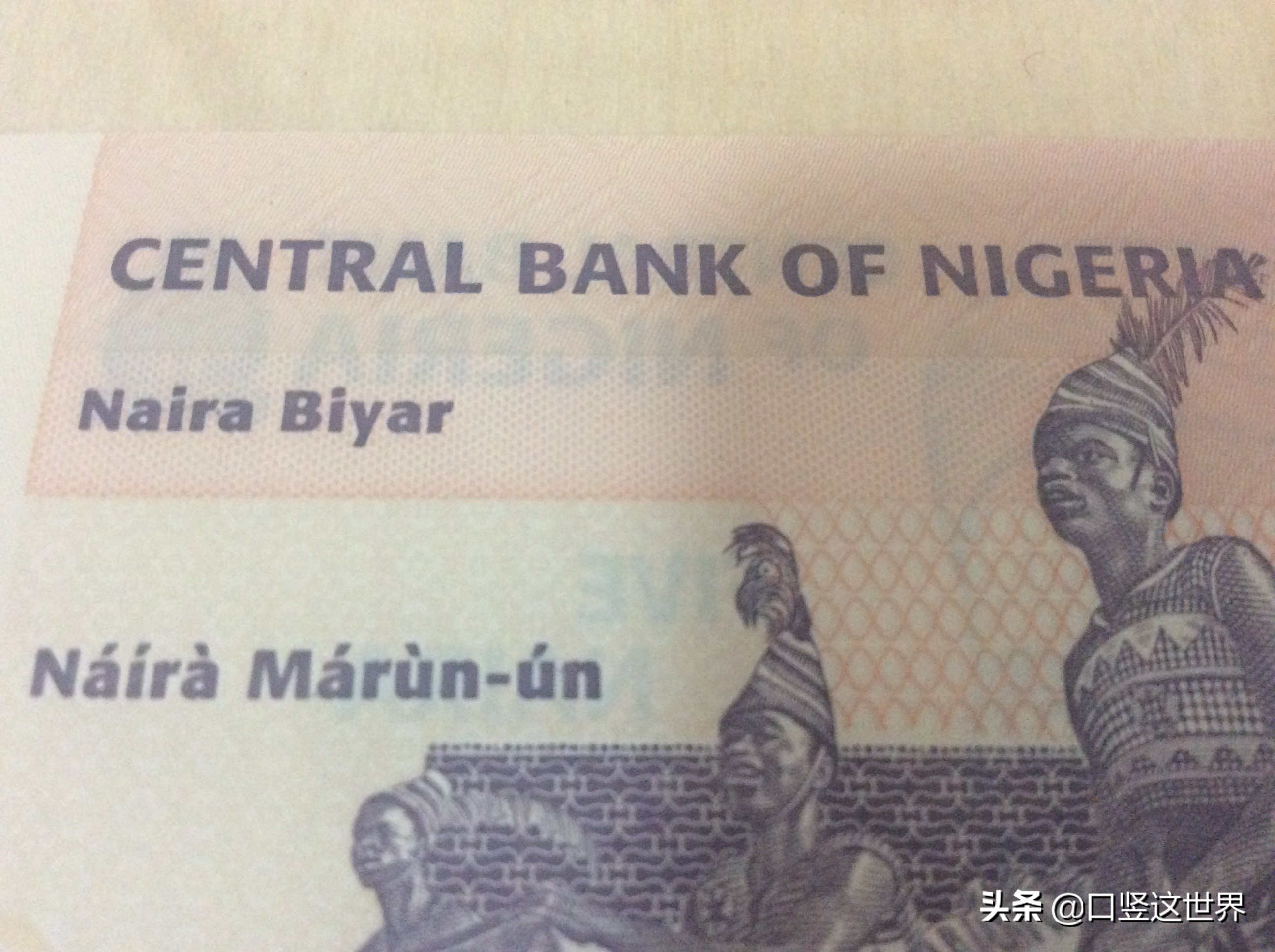 尼日利亚货币是塑料钞吗,尼日利亚塑料钞图片