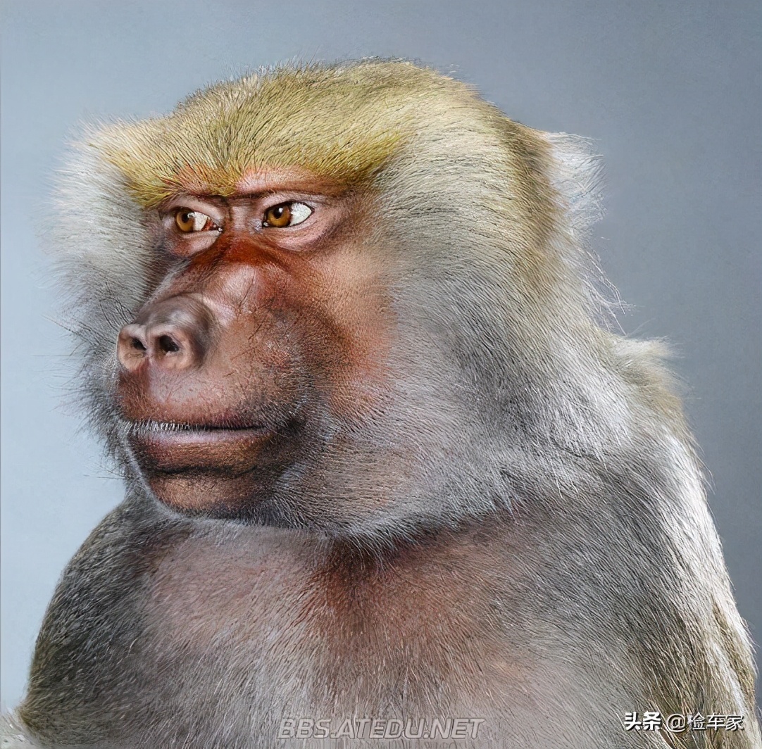 迈腾二手车故障率高吗,迈腾四驱报价6万