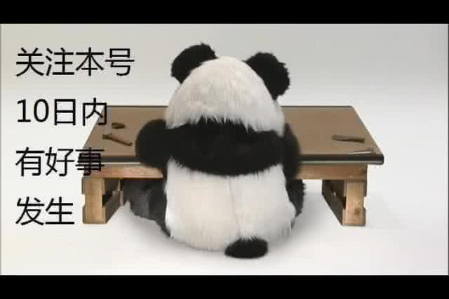 国足输了被取笑,国足票价吐槽