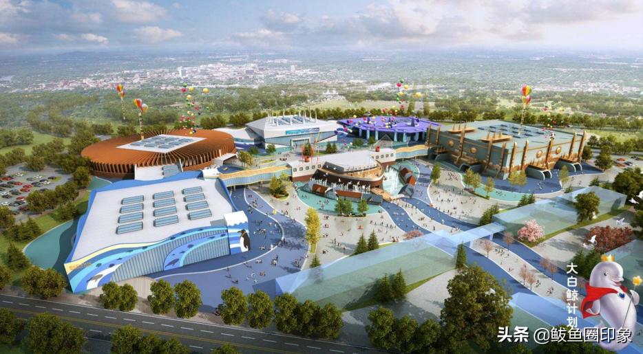 鲅鱼圈大白鲸完工,鲅鱼圈大白鲸世界建设的进程