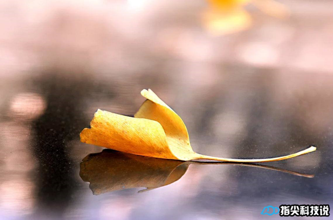 青菜煮变绿,青菜怎么煮才能变绿