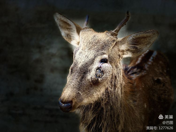 洛阳市宜阳凤凰岭射箭,宜阳县凤凰岭体育基地