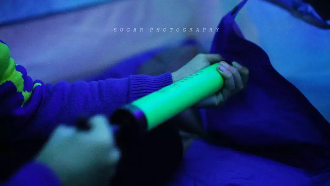 「亲子游」与万千海洋动物一起，夜宿探索极地海洋之美