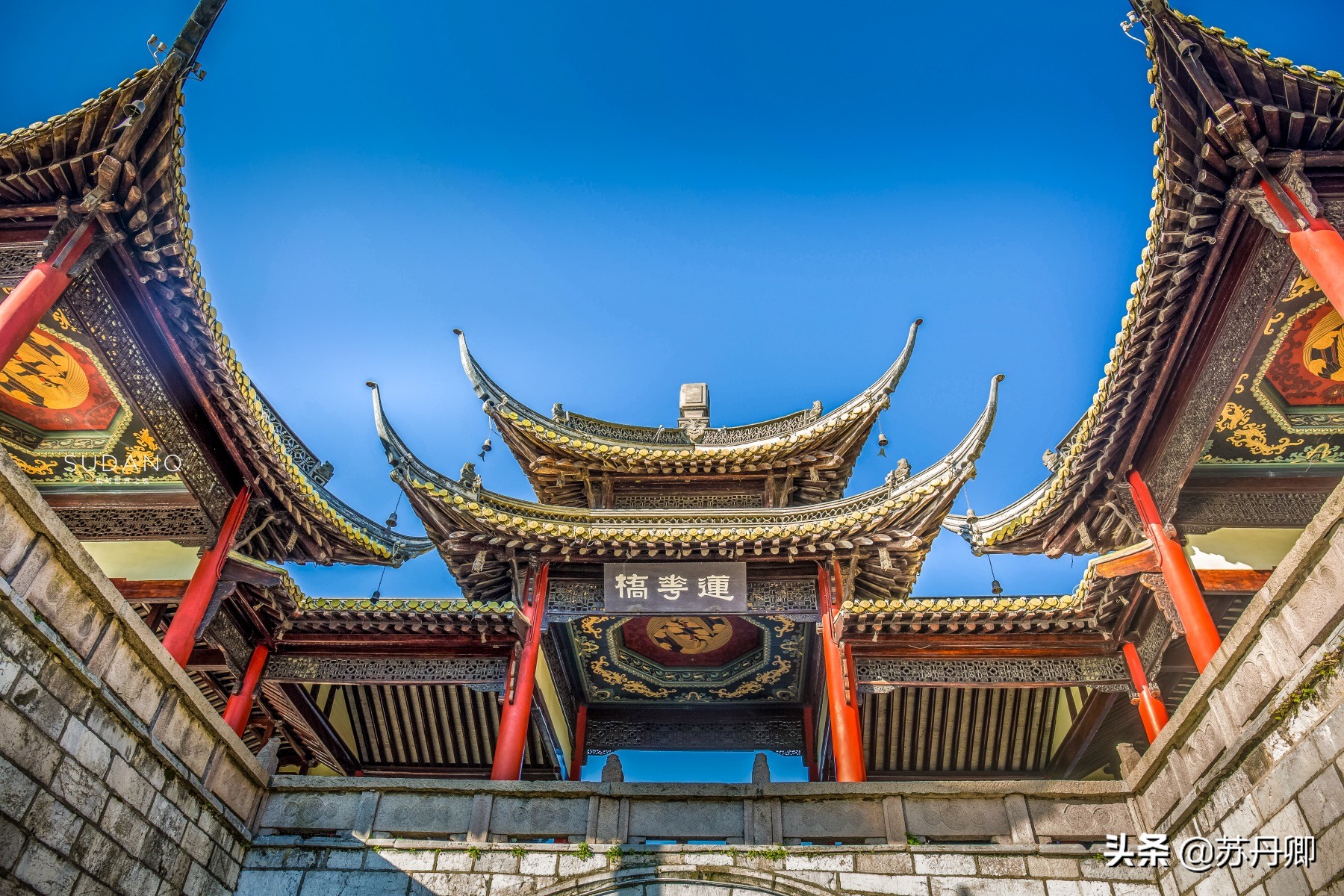 瘦西湖为什么出名,瘦西湖为什么值得游玩