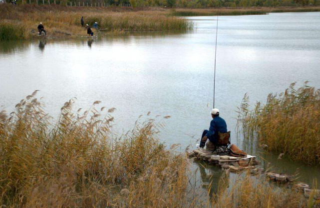 钓鱼小药真的是智商税吗,钓鱼中所谓的小药是智商税吗