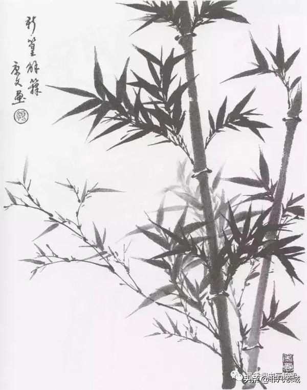 国画教程竹子的写意画法,国画写意竹子画法步骤