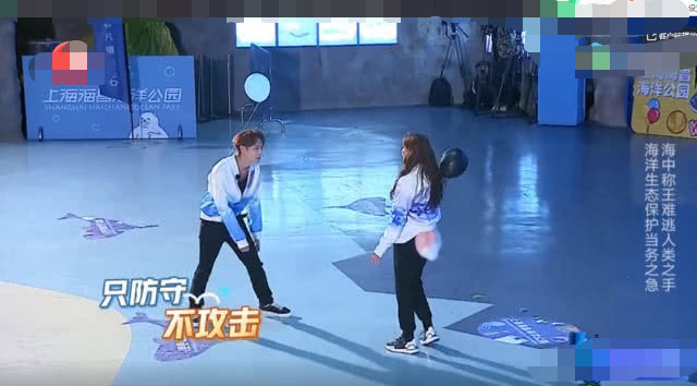 热巴张艺兴极限挑战路透上海,极限挑战张艺兴邓超黄磊