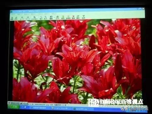 宝贝参加学校跳蚤市场活动,跳蚤市场畅销物品