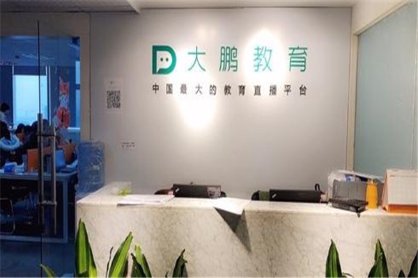 大鹏教育画画素描教程,大鹏教育学画画