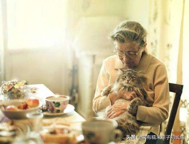 怎么判断猫咪是不是牙齿疼,可怕的猫咪牙疼