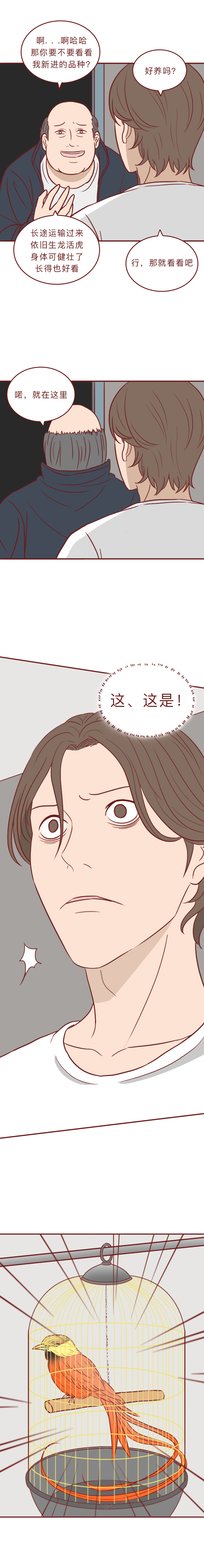 动物竟然把人当宠物一样囚禁和喂养,一部黑暗讽刺漫画