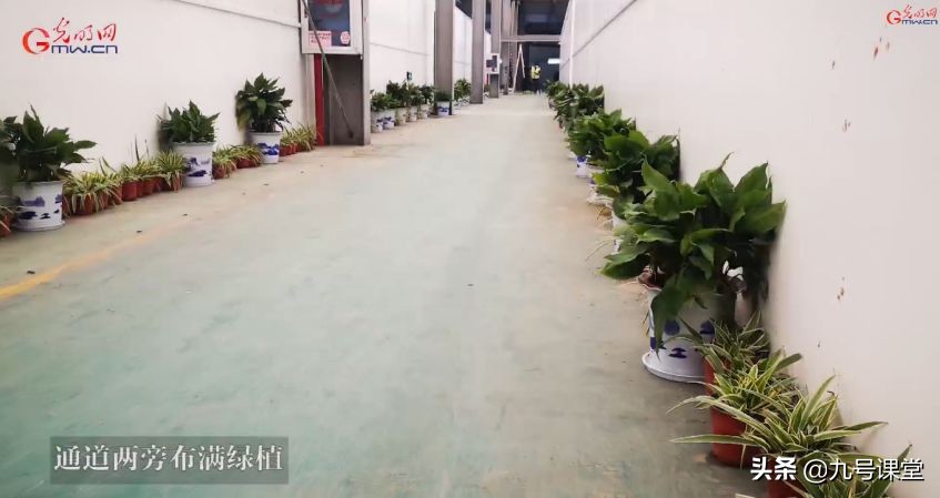 看新型肺炎疫情需要多少钱,新冠肺炎天价治疗费感想