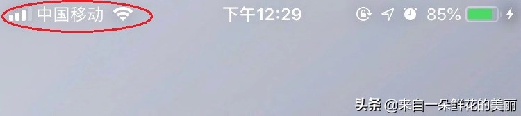 明明信号满格就是网速很差,明明手机显示信号满格却连不上网