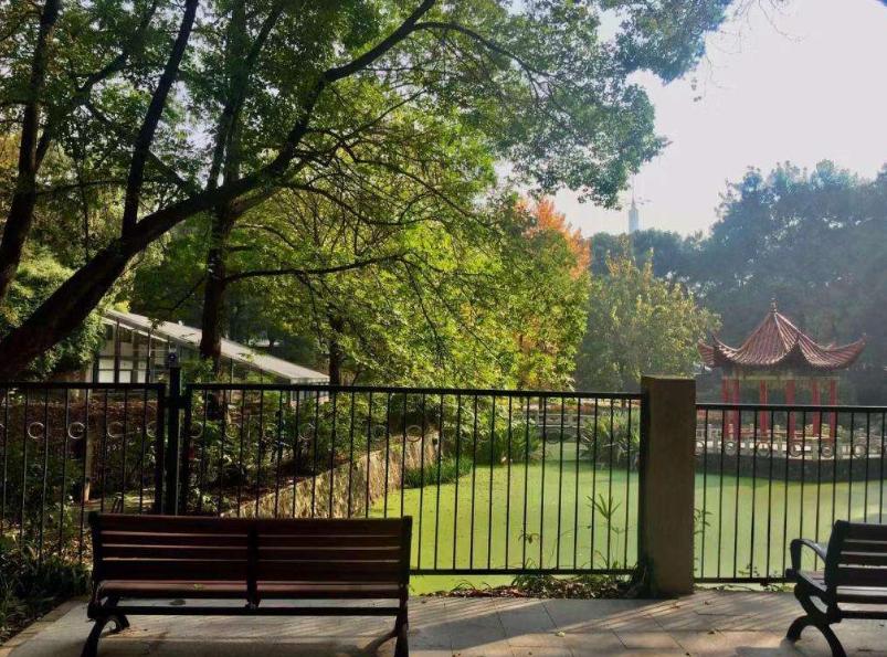 最能让人心静的旅游景点,国内能让人心静的地方