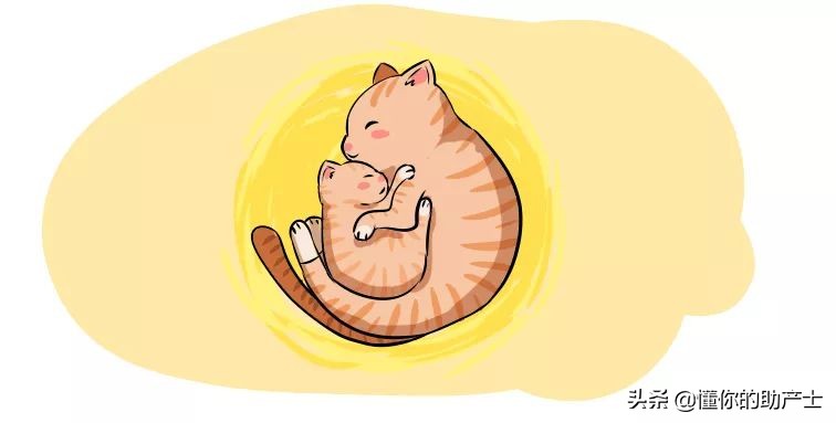 这天，关于如何“吃胎盘”这件事，我和闺蜜商讨了好久......