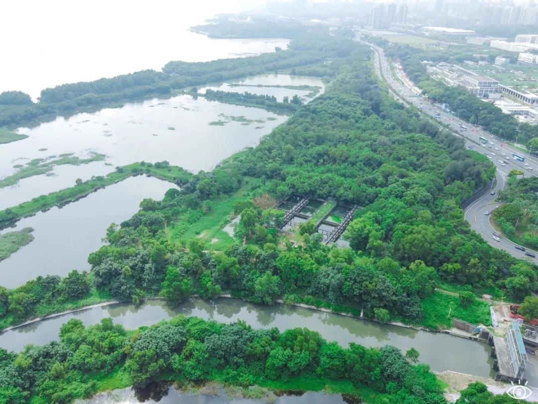 深圳这10条绿道你去过没,深圳十大绿道排行榜