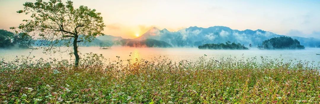 金华市著名网红,十大网红打卡圣地金华