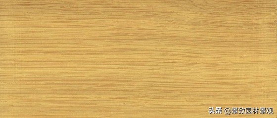 木纹最好看的木材图片,各种木材纹理图片与名称