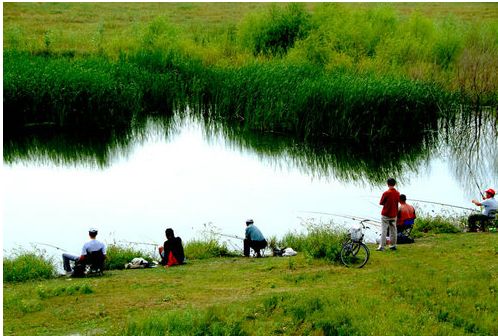 夏钓鲫鱼小鱼闹窝的最有效的方法,夏天小奶鲫怎么钓最好