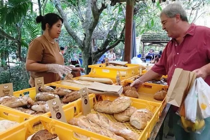 清迈景点攻略亲子游玩,清迈十大必去景点简介大全