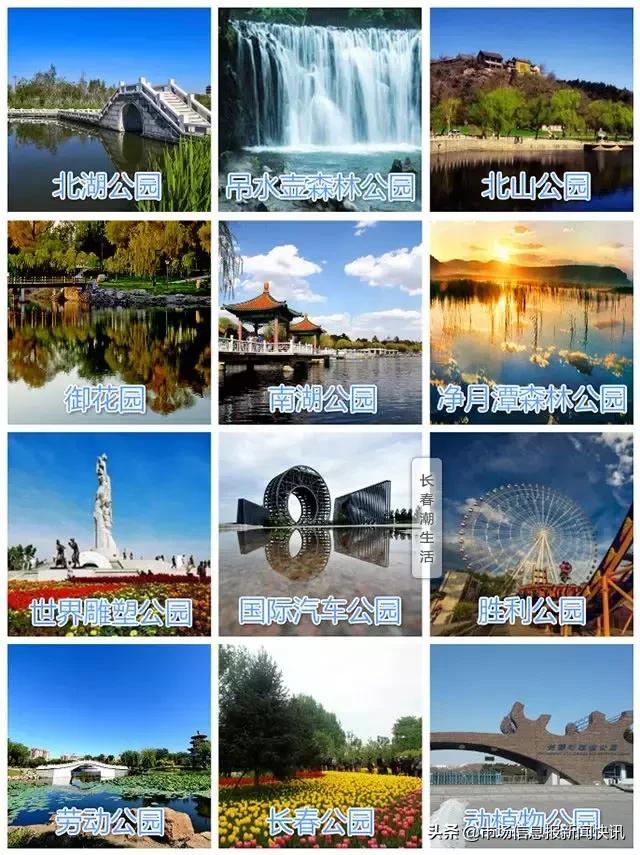 一封辞职信火遍长春,一封辞职信火遍整个日照