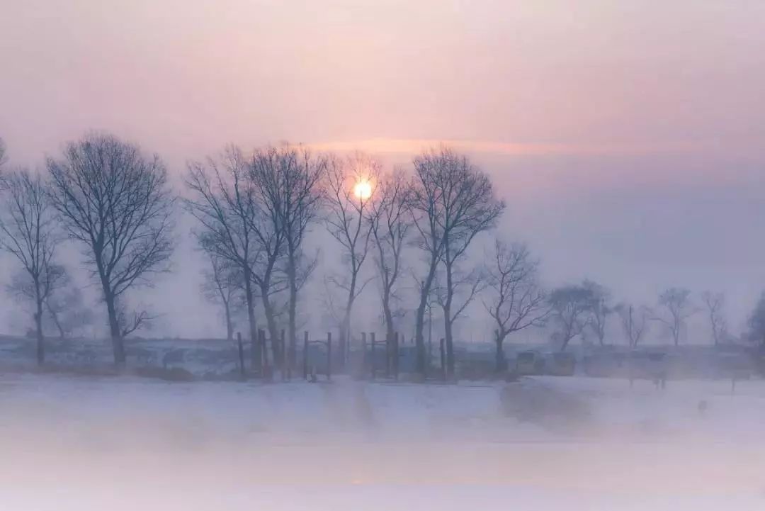 哈尔滨冰雪世界研学,新启元厦门暖冬研学营