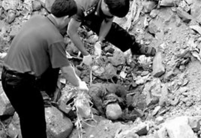 悍匪林来福怎么被抓的,台湾悍匪林来福性格特点