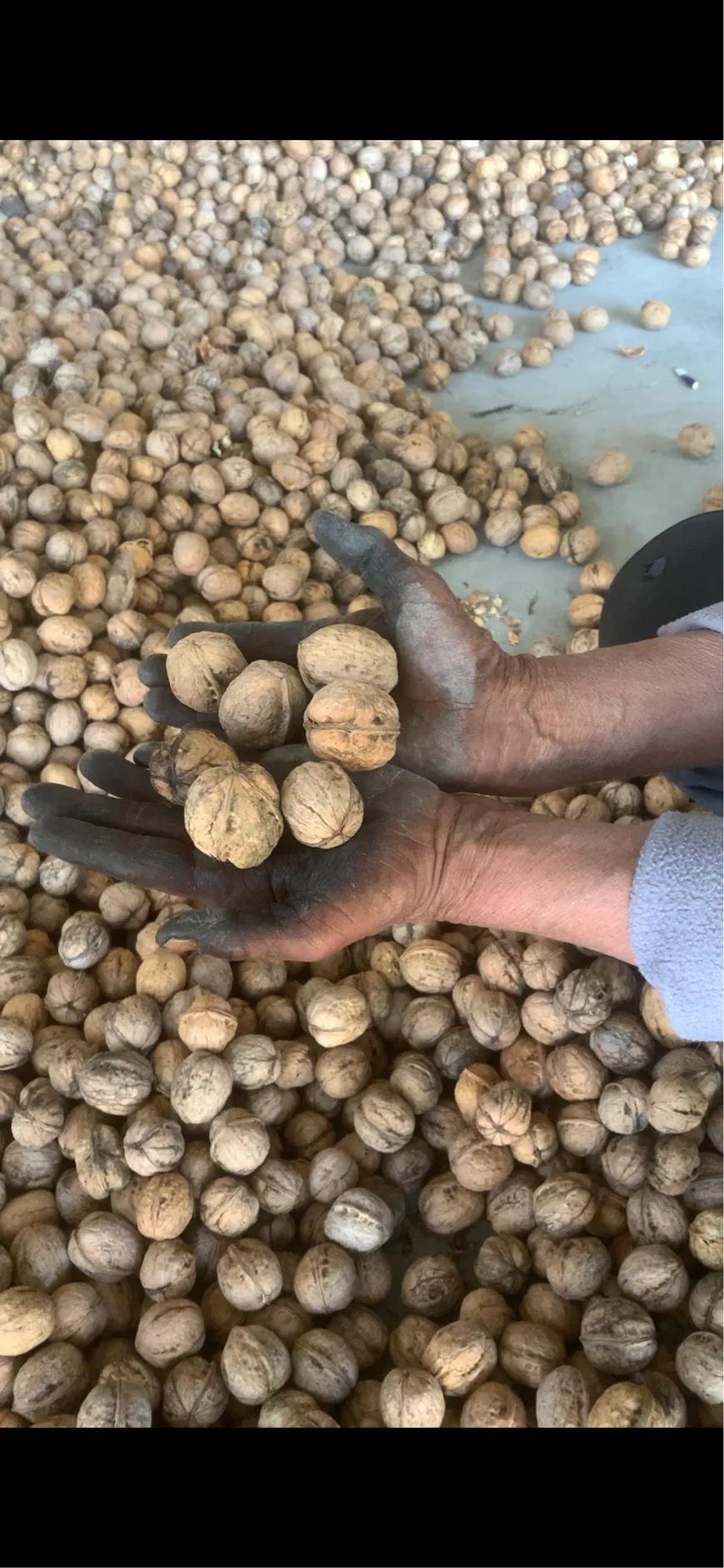 助农*疆新**水果特产优选动态