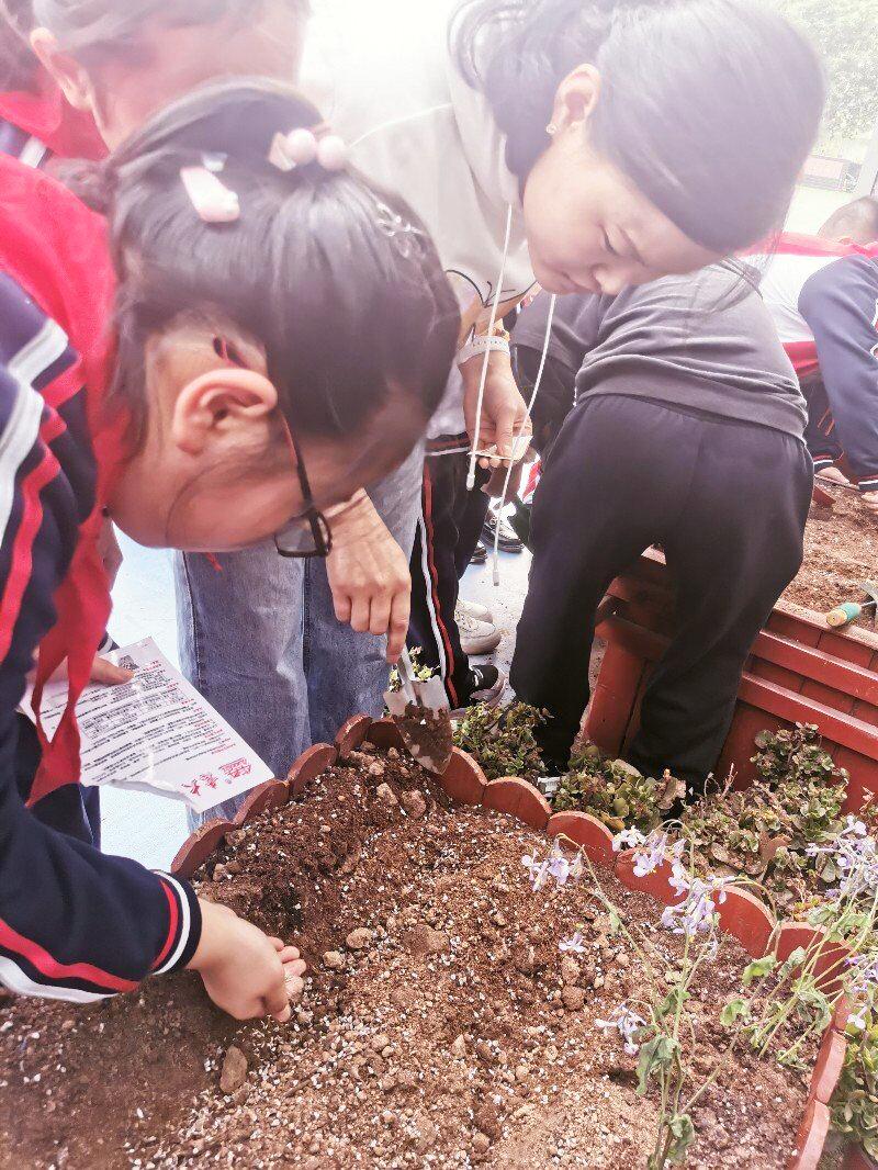 邯郸智考小学口碑,邯郸市智考小学教学质量怎么样