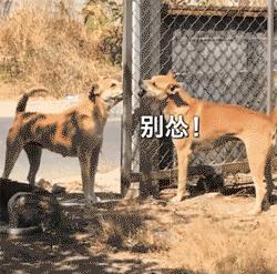 搞笑gif姑娘你也太强大了,搞笑gif开心一刻妹子的眼神