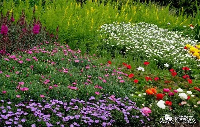 三十二年前，在焦作中州铝厂留下了我的青春印记