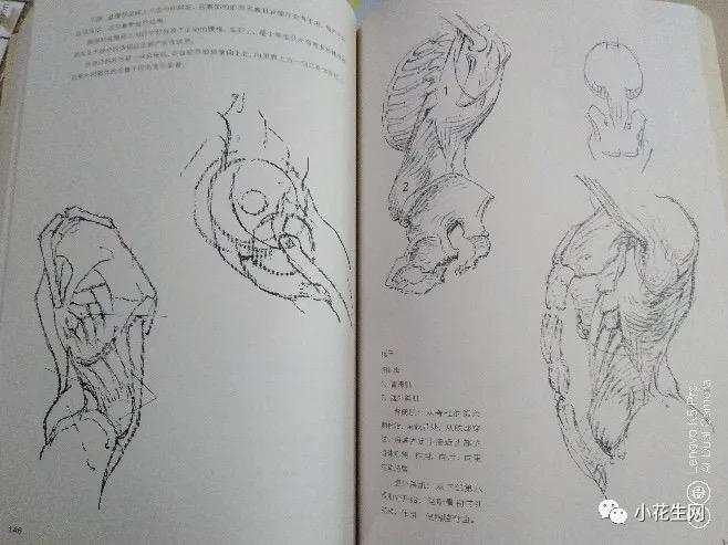 从零开始学绘画简单入门教程,从零开始学绘画必备的画