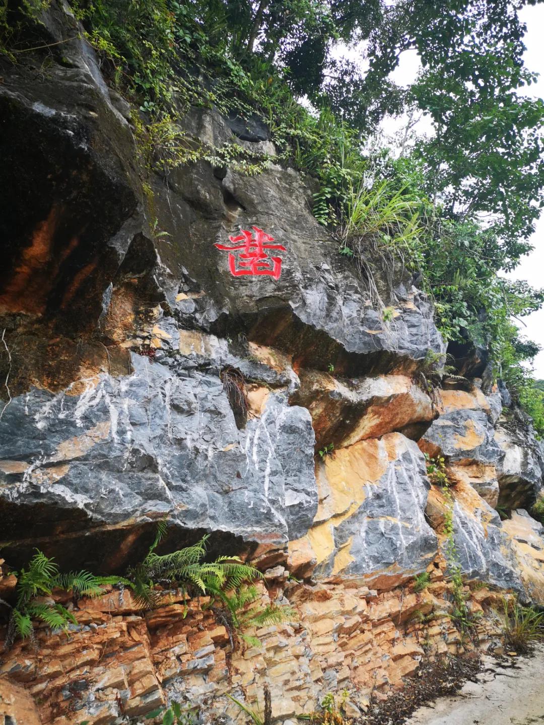 「农民日报推出《特困片区脱贫记》系列报告文学⑨」开在石头上的花