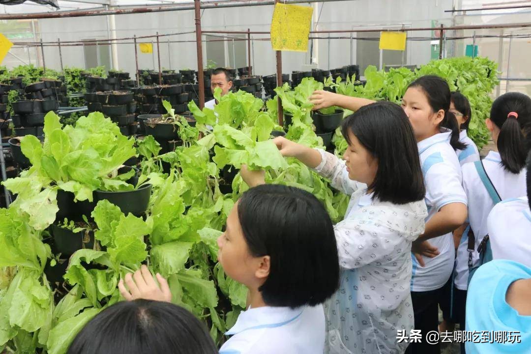 69.9抢惠州罗浮山漂流门票89元抢漂流门票+空中田园
