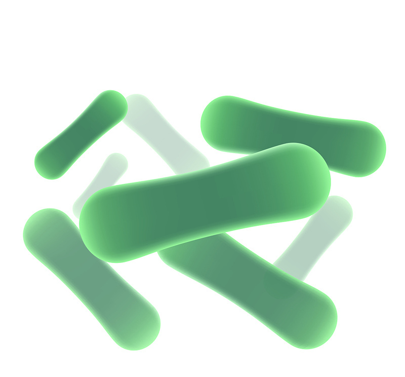 念珠菌用抗生素能好吗,使用抗生素后大便有真菌