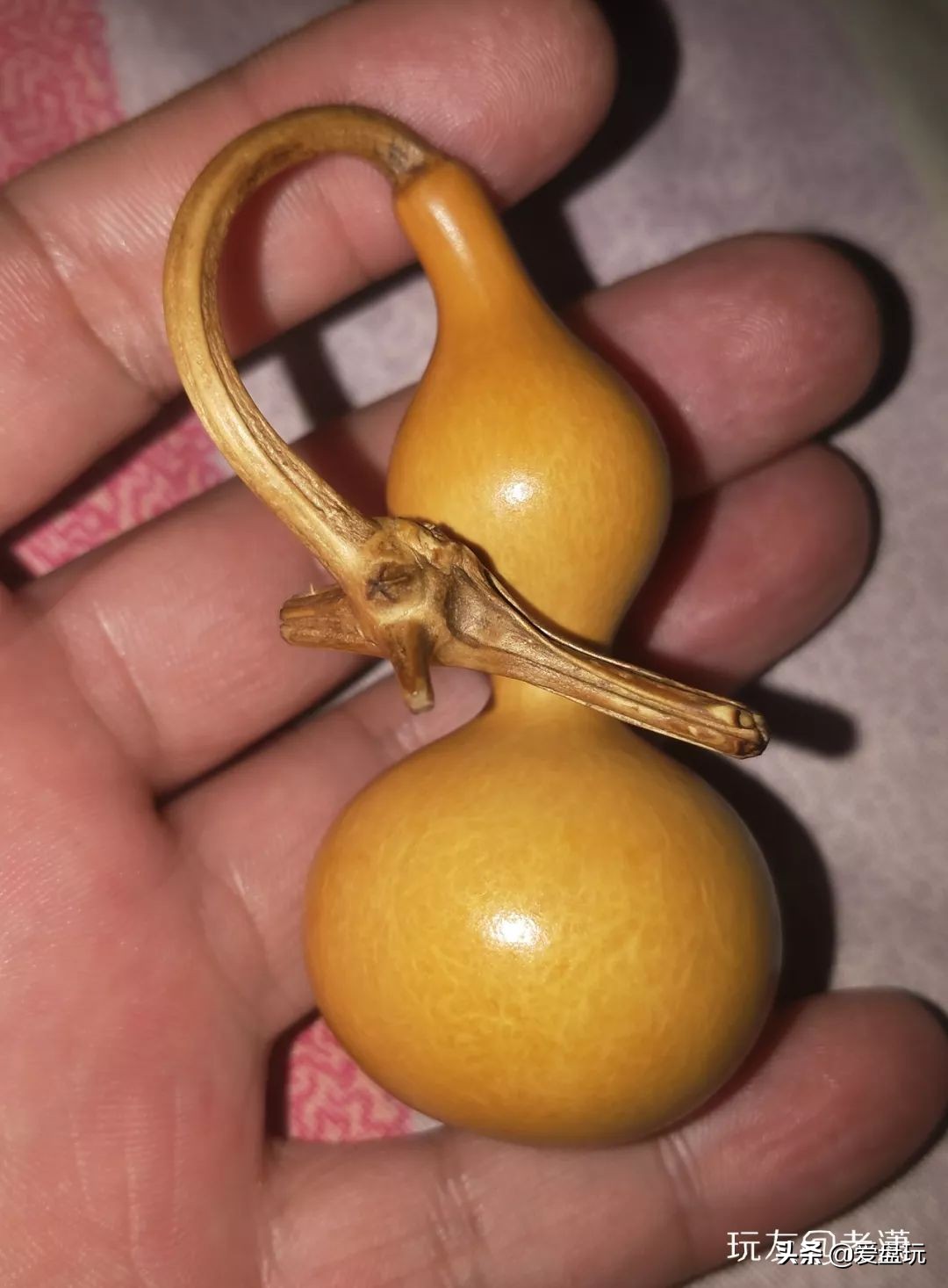 手捻葫芦龙头断了怎么办,文玩葫芦龙头断了还能玩吗