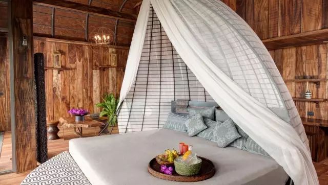 真正的森林树屋,这些树屋满足你对森林的所有幻想