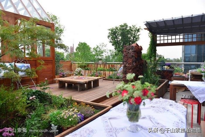 园艺康复疗法介绍,园艺疗法的现状