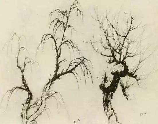 怎么画树最简单而且还最好看,怎么画树才更真实