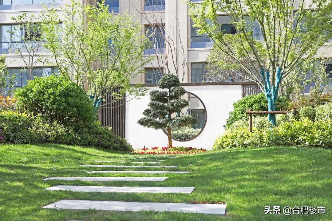 滨湖新区新盘,滨湖新区高档楼盘样板房