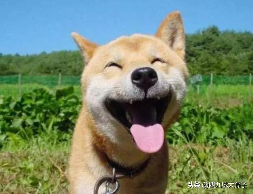 北京土话和普通话对照表,北京话不难懂