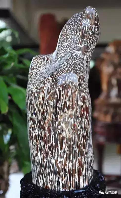 世上最惊艳的木头,世界上最漂亮的红色木头